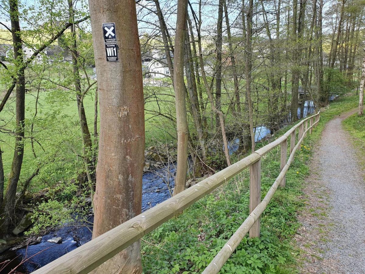 Ferienhaus Junge Ruhr Olsberg Dış mekan fotoğraf